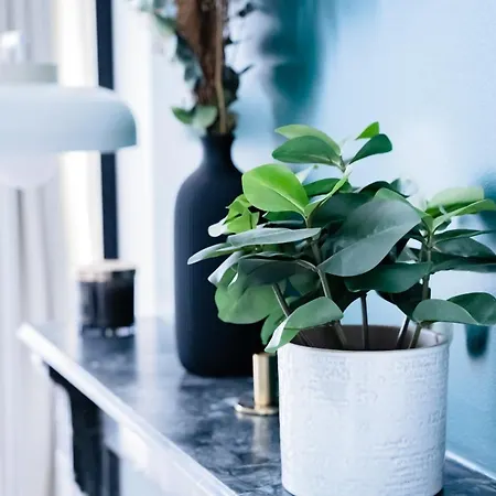 L'emeraude ~ Elegant ~ Arrivee Autonome アパート ブレシュイール