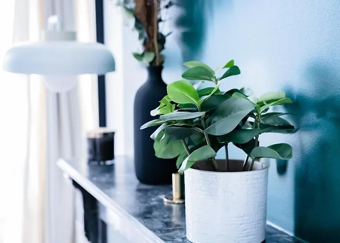 L'emeraude ~ Elegant ~ Arrivee Autonome Bressuire